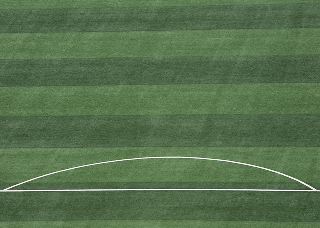 NBA球员数据榜：东契奇助攻领跑,