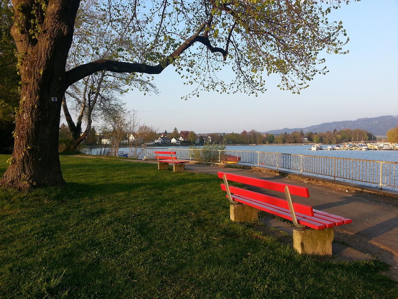 鲁媒：山东队4外援出征武汉，依木兰、陈泽仕已提前抵达